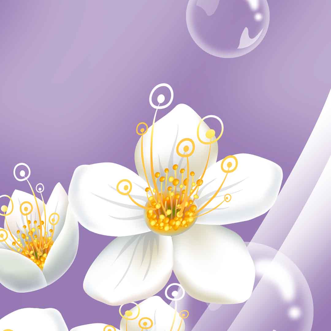 VIPcorel.com_11723e.jpg
