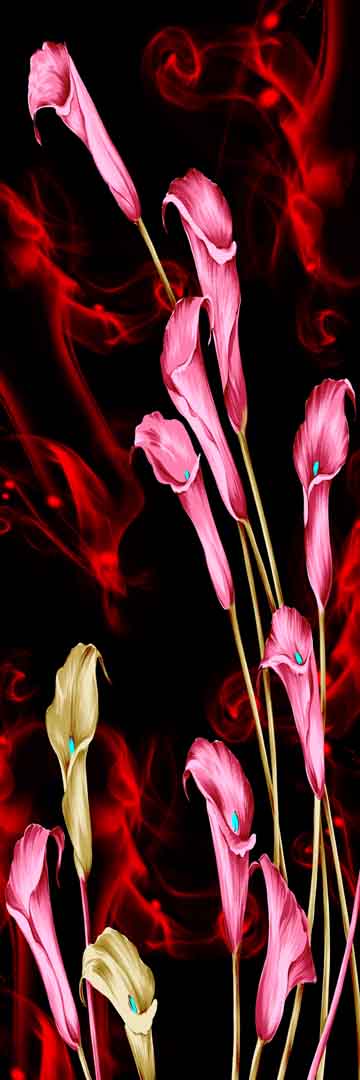VIPcorel.com_11724a.jpg