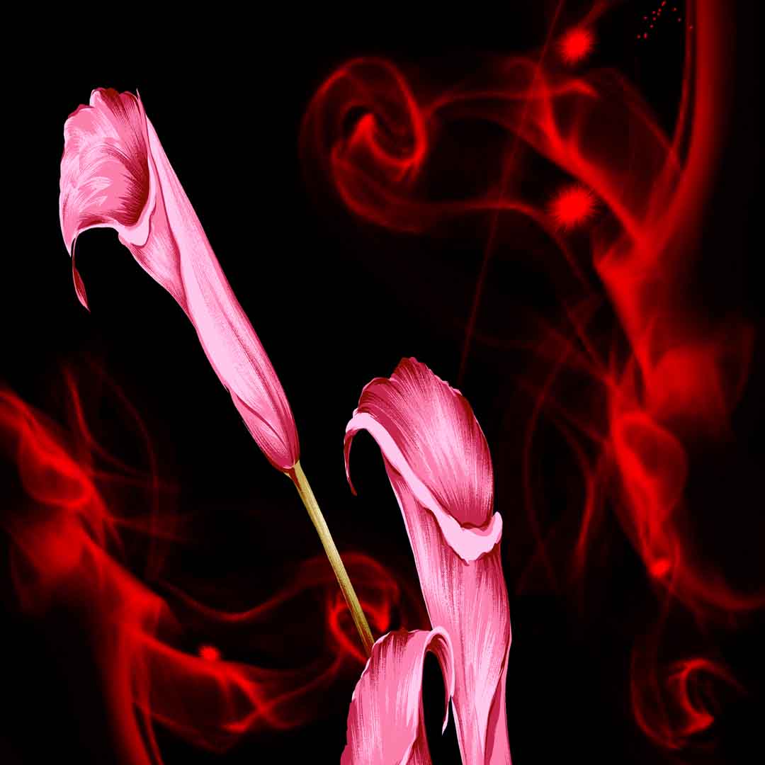 VIPcorel.com_11724b.jpg