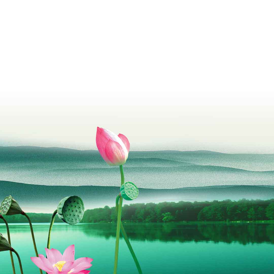 VIPcorel.com_11725b.jpg