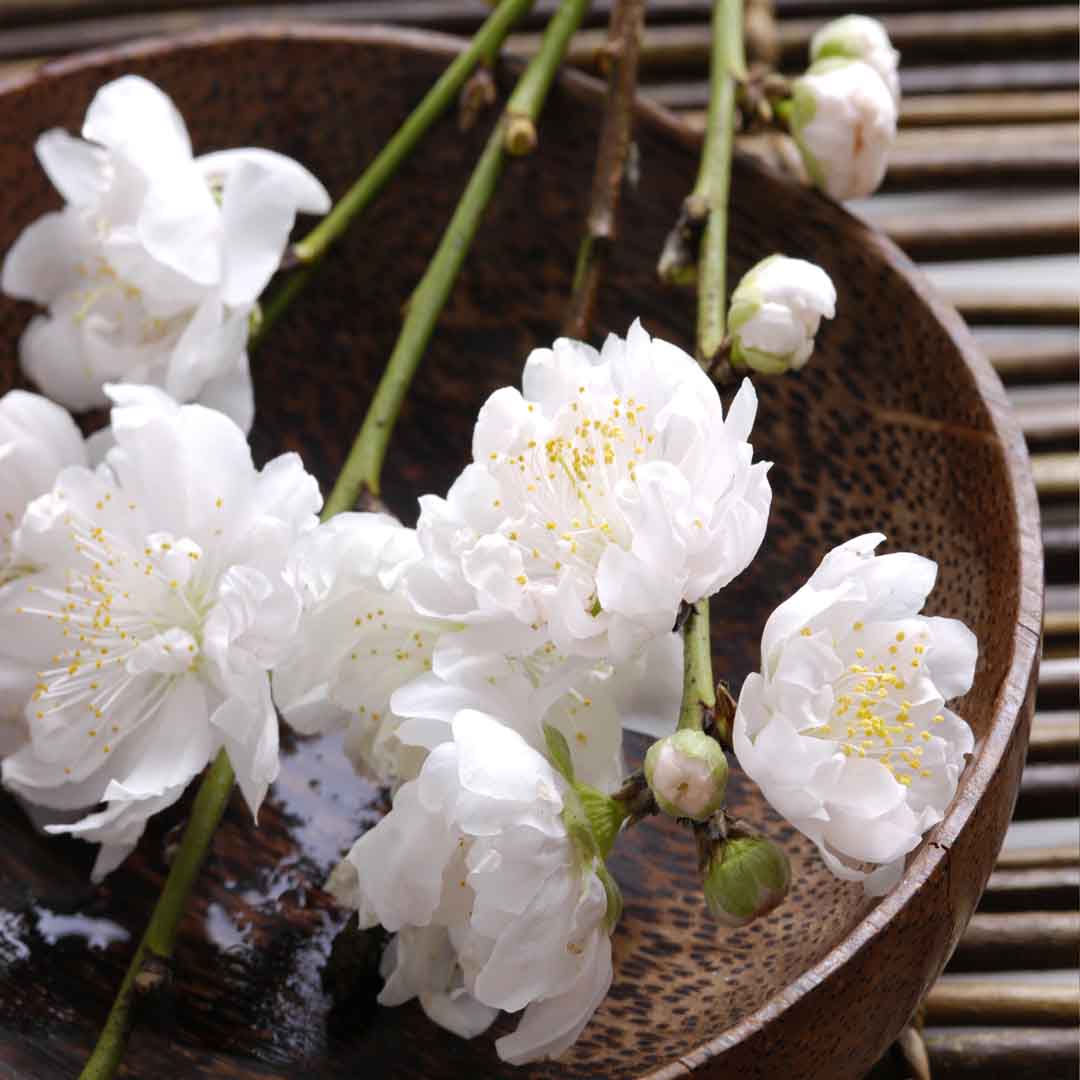 VIPcorel.com_11731a.jpg