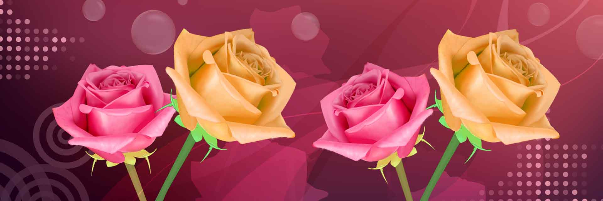 VIPcorel.com_11733a.jpg