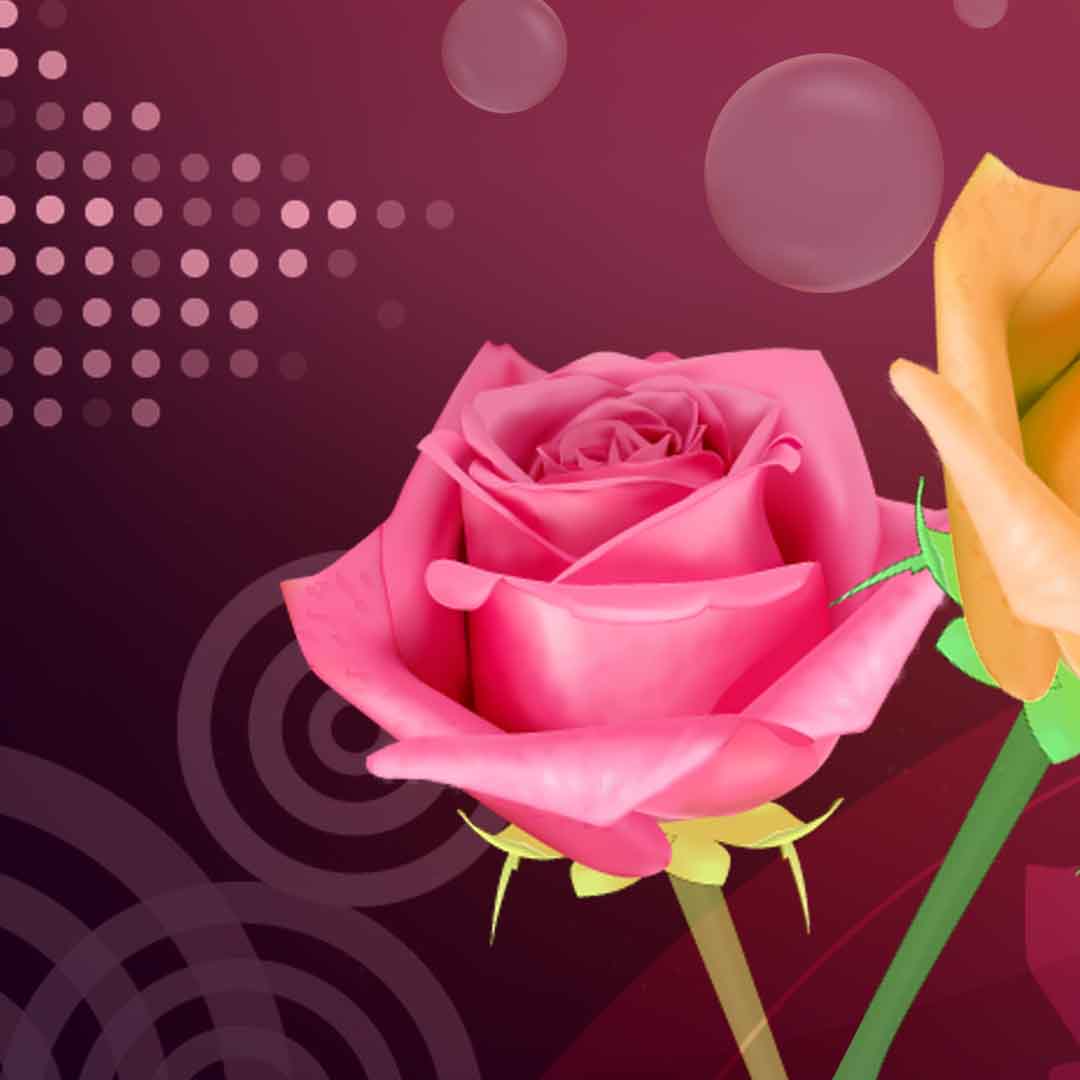VIPcorel.com_11733b.jpg