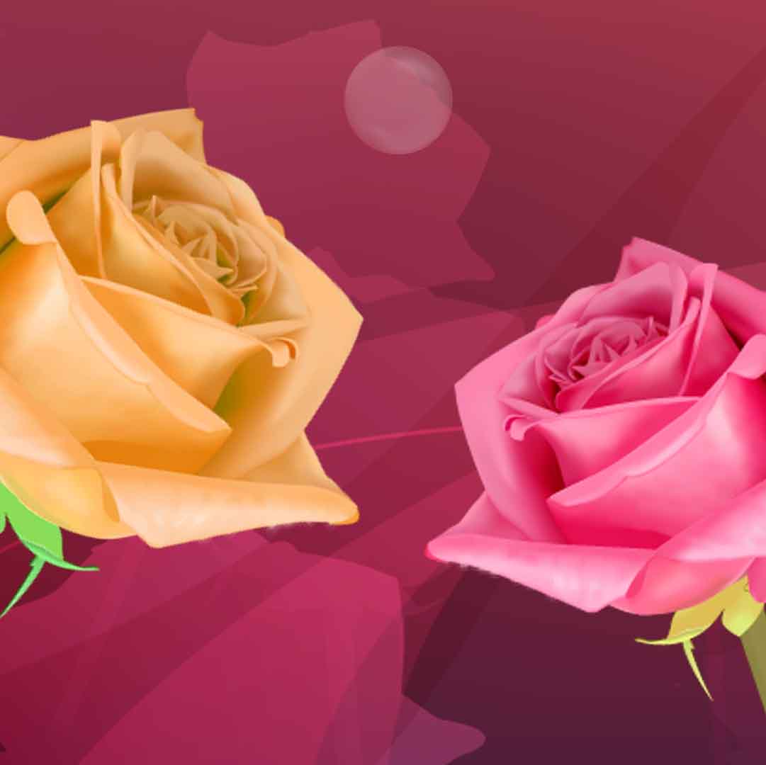 VIPcorel.com_11733c.jpg