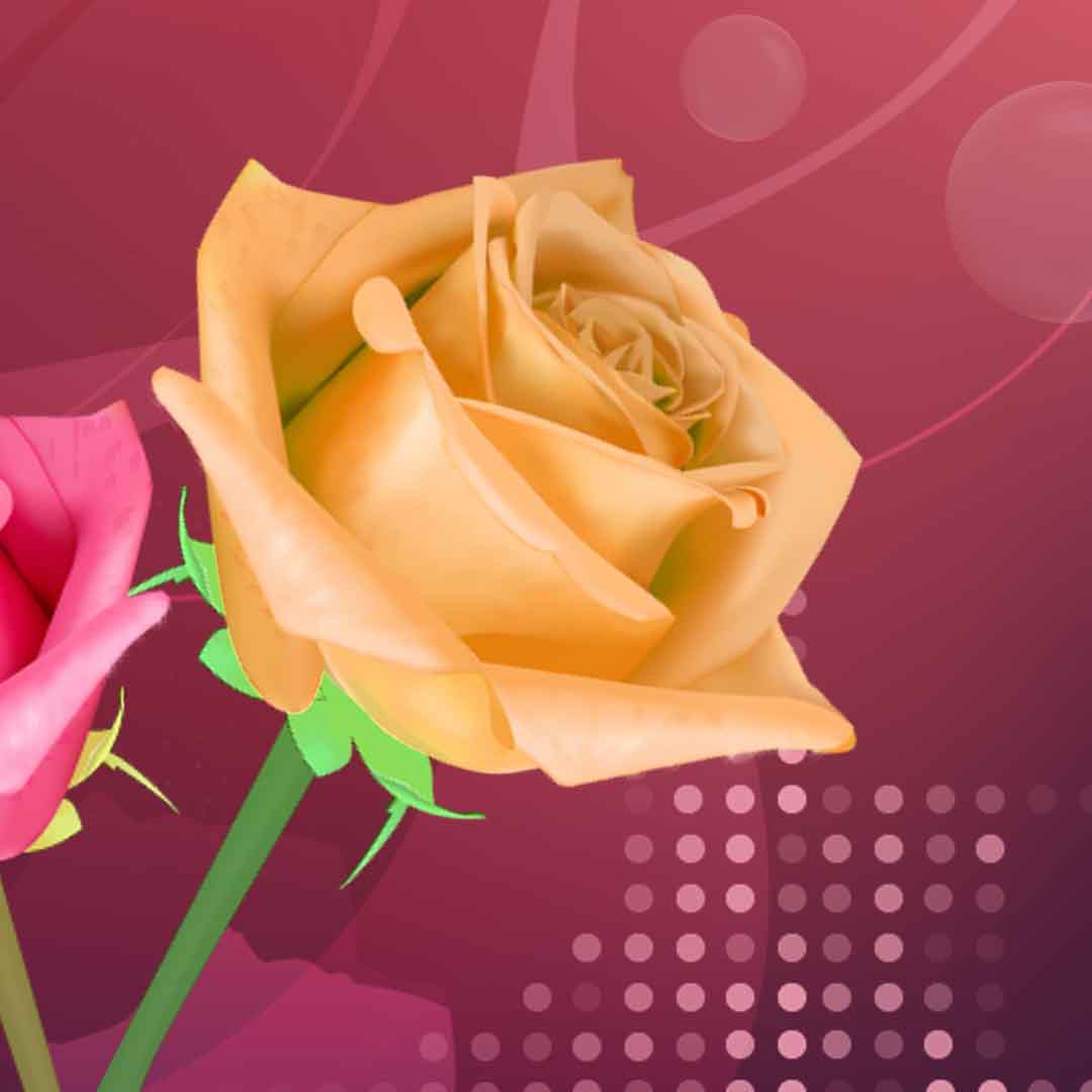 VIPcorel.com_11733d.jpg