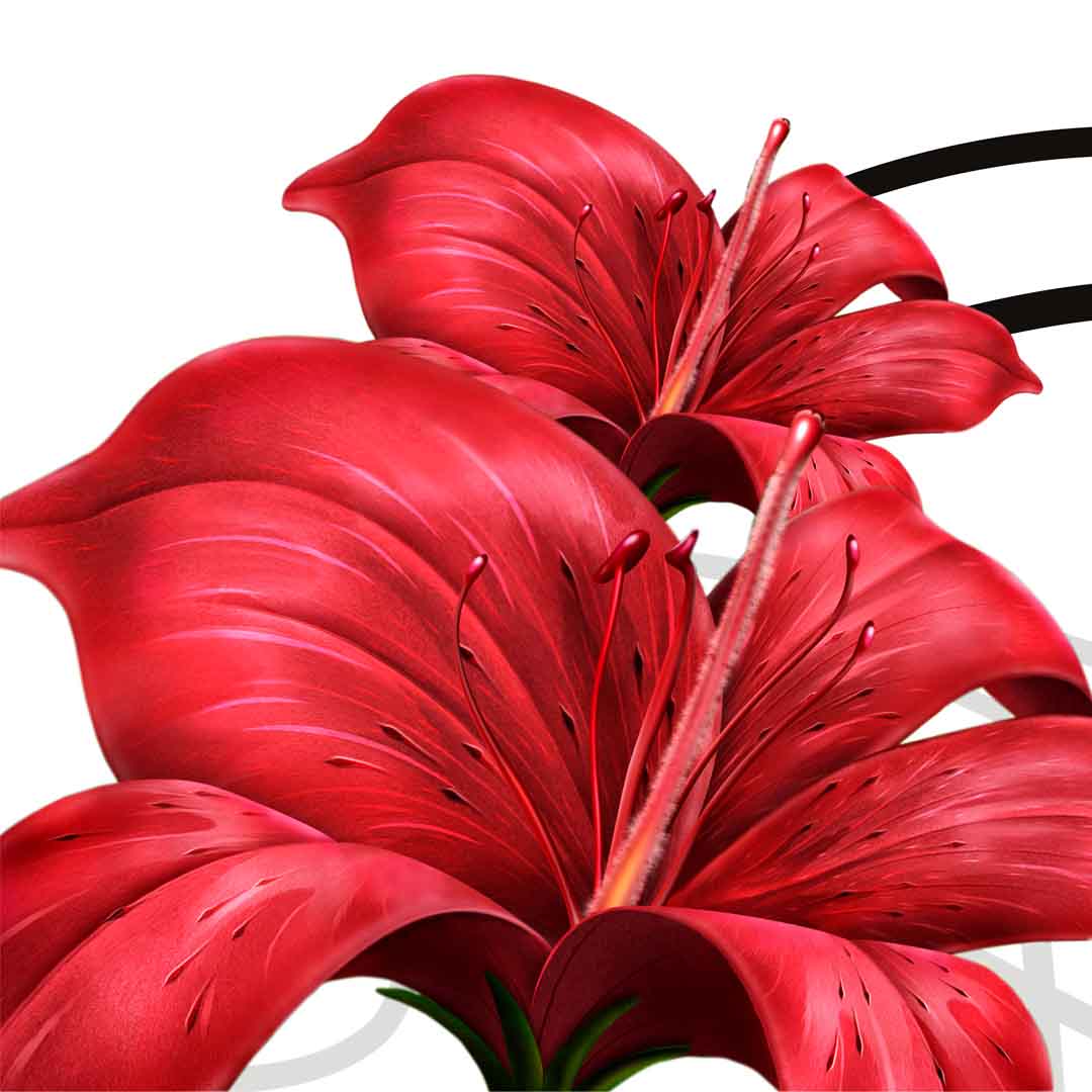 VIPcorel.com_11740a.jpg
