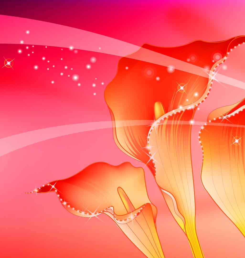 VIPcorel.com_11741a.jpg