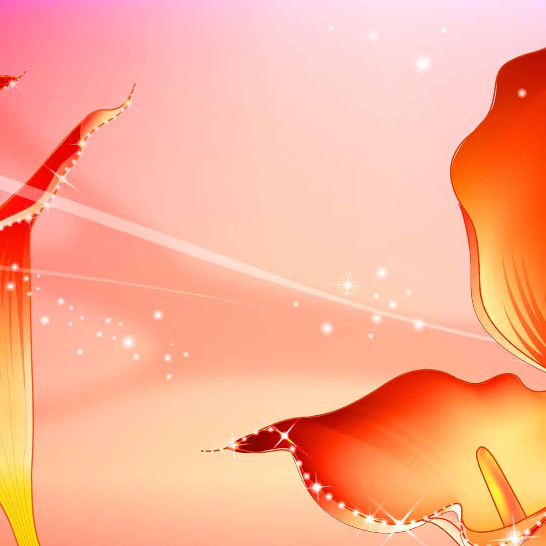 VIPcorel.com_11741b.jpg