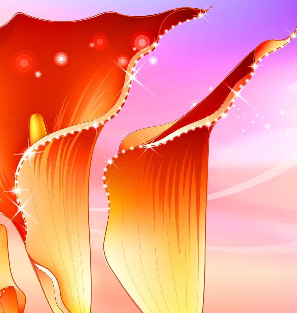 VIPcorel.com_11741c.jpg