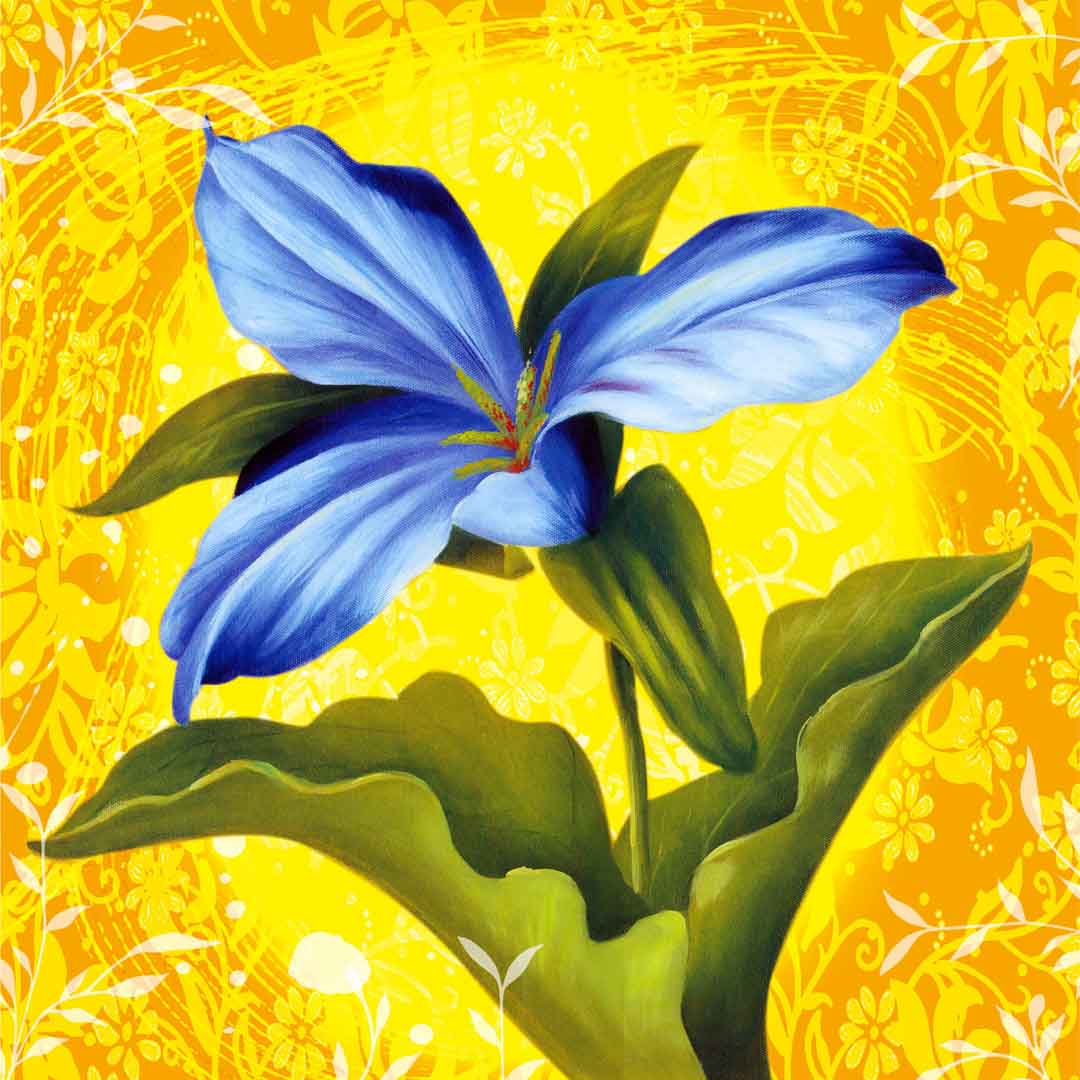 VIPcorel.com_11744b.jpg