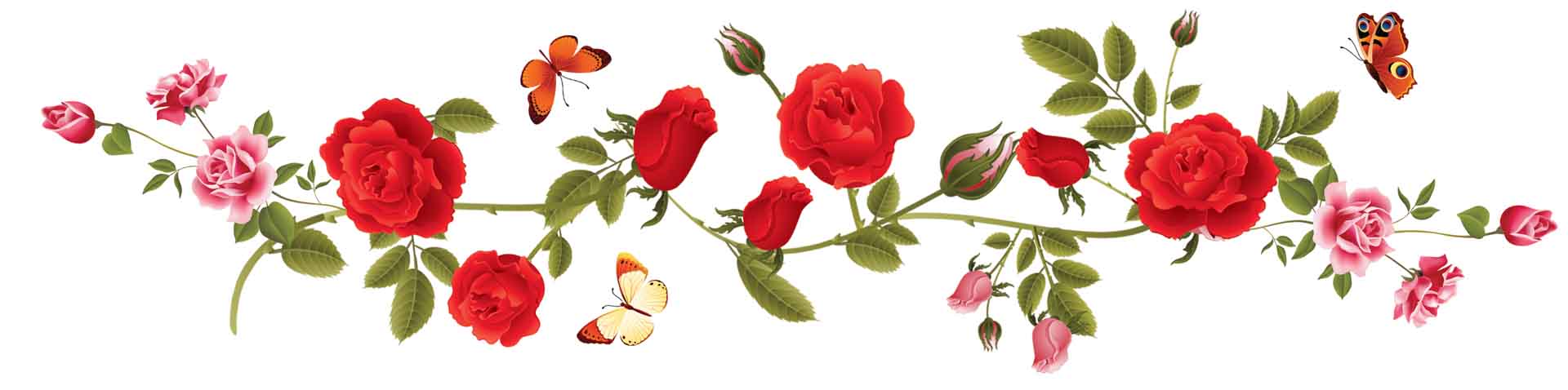 VIPcorel.com_11748a.jpg