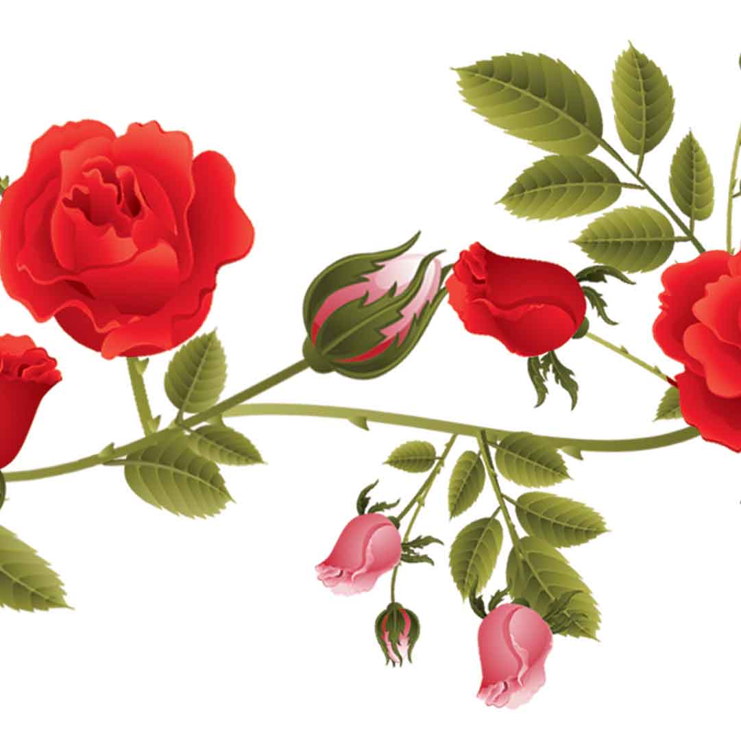 VIPcorel.com_11748d.jpg