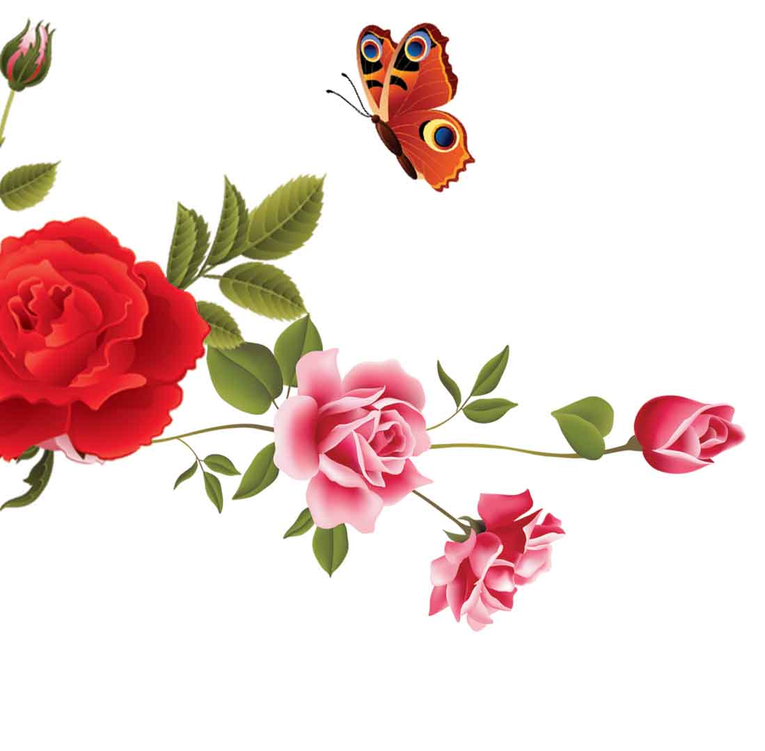 VIPcorel.com_11748e.jpg