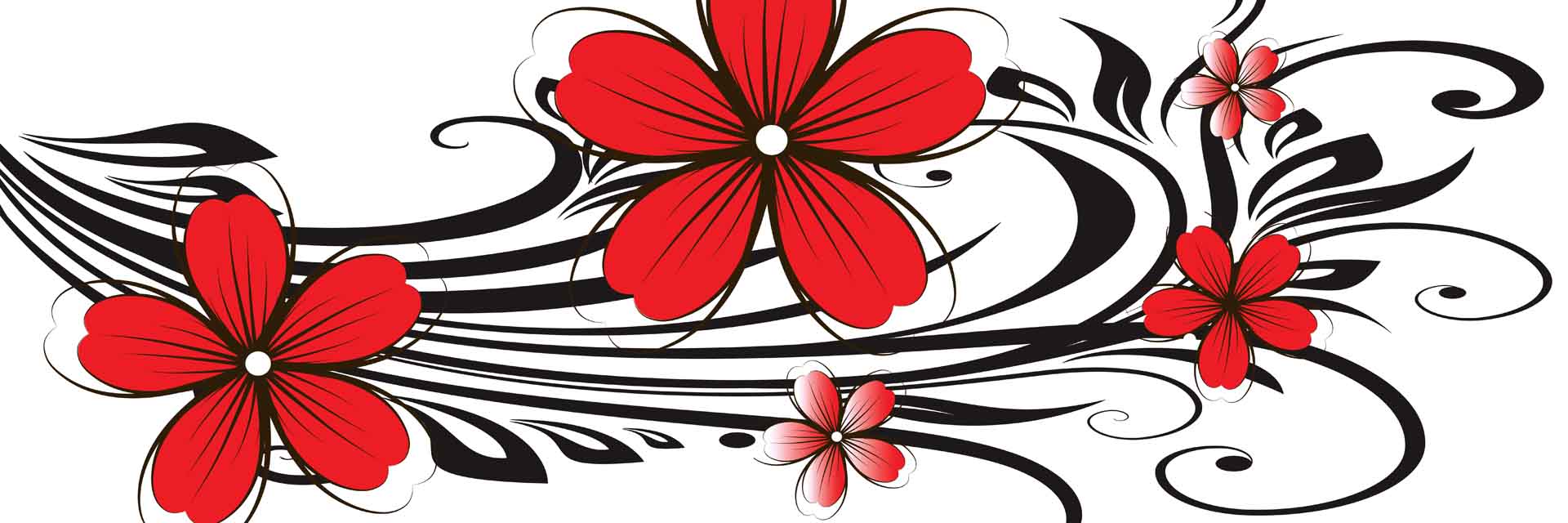 VIPcorel.com_11750A.jpg