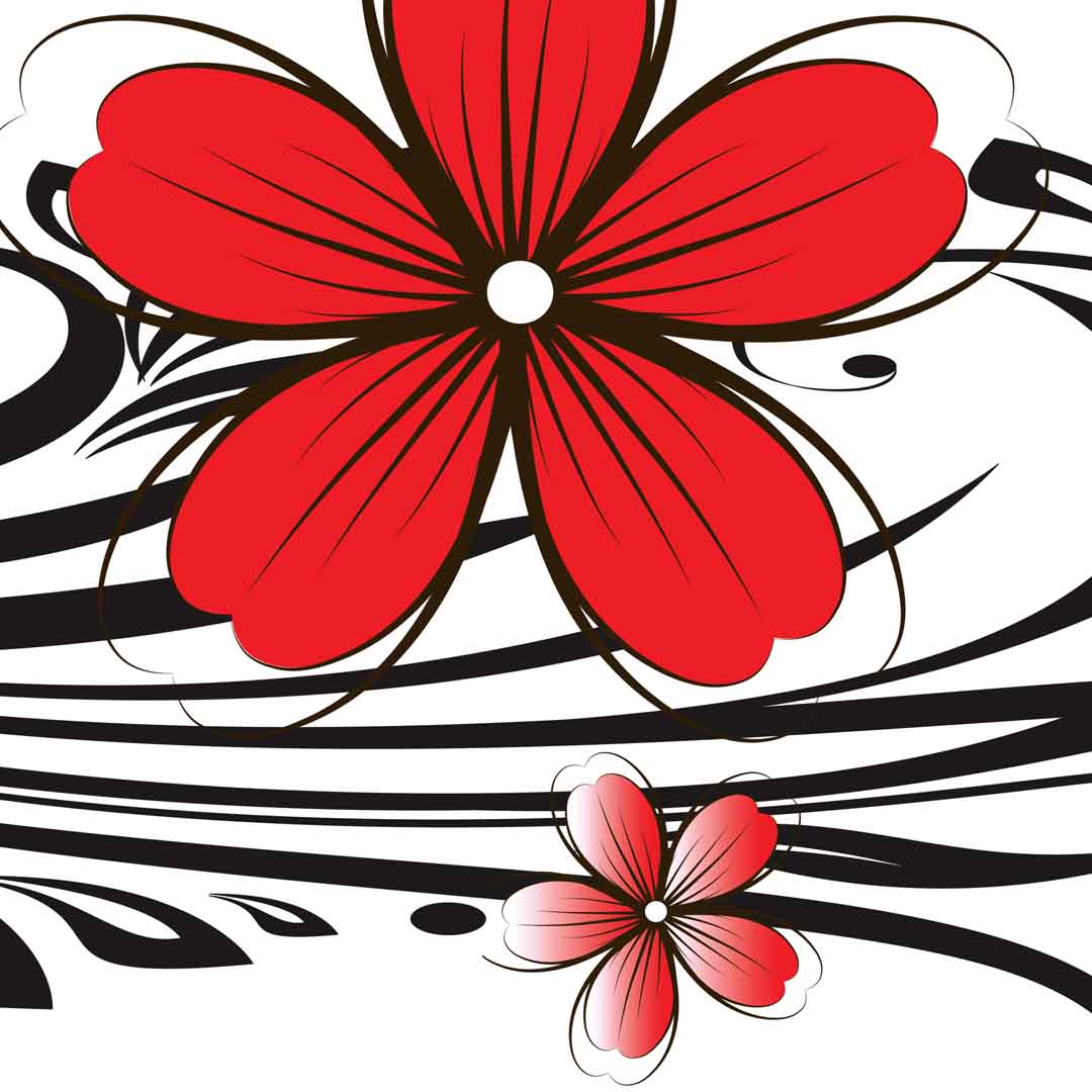 VIPcorel.com_11750c.jpg