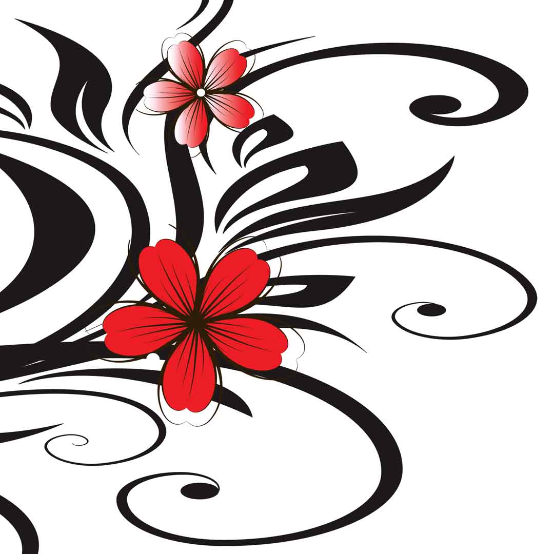 VIPcorel.com_11750d.jpg