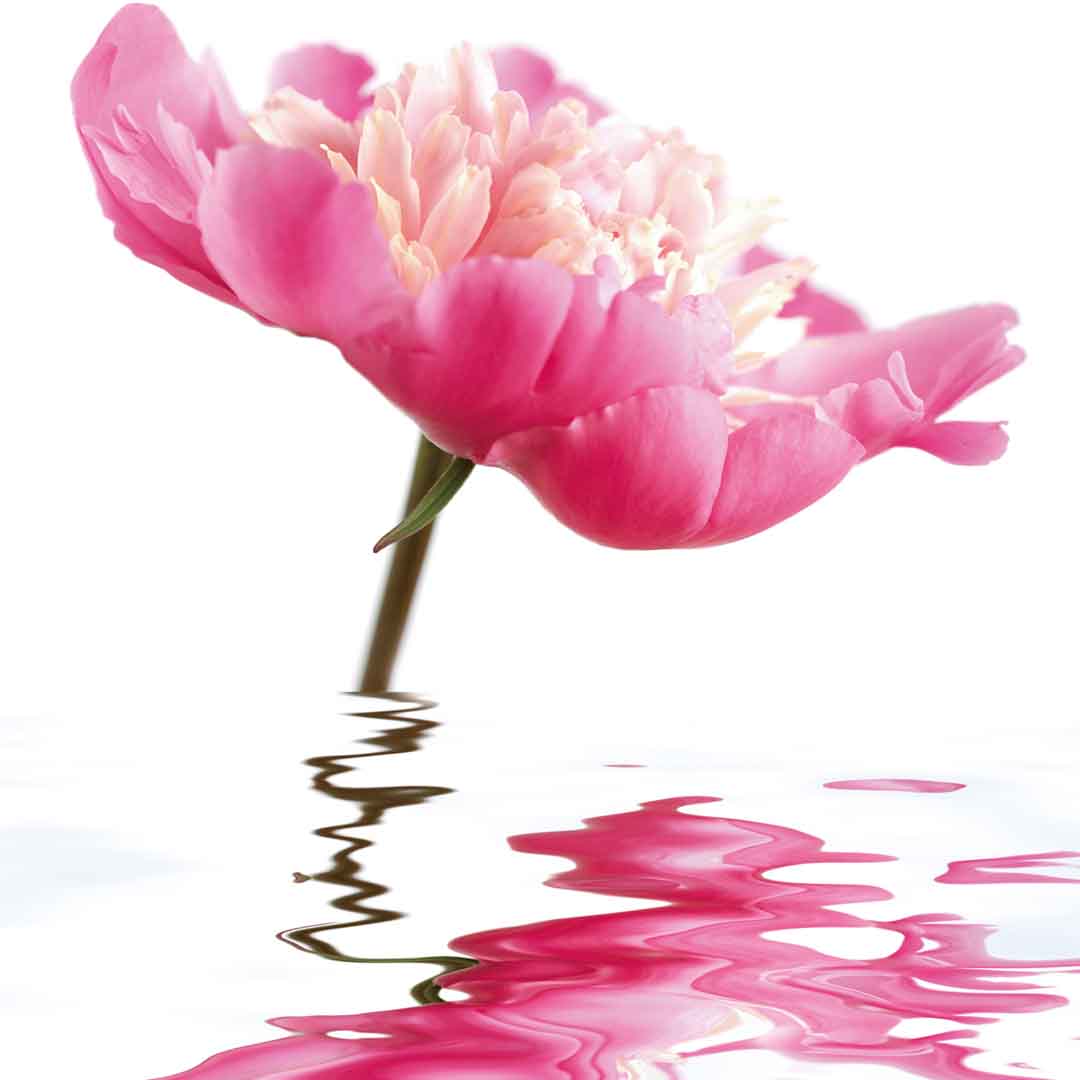 VIPcorel.com_11752a.jpg