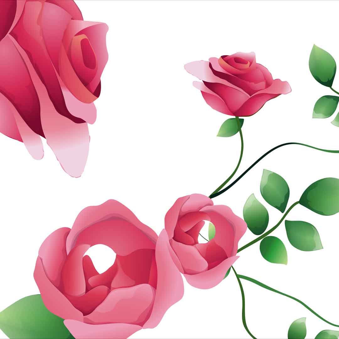 VIPcorel.com_11755c.jpg