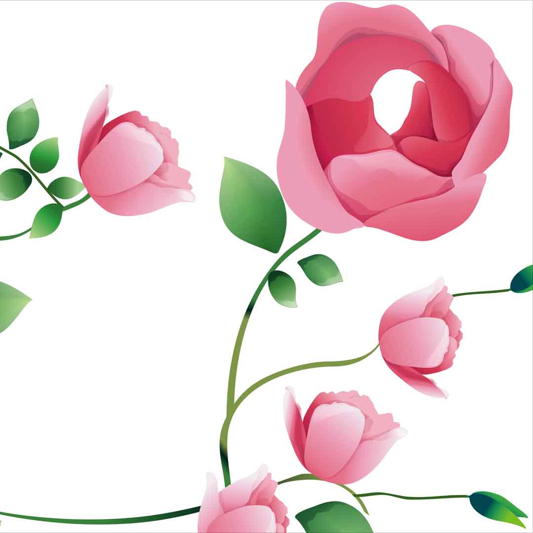 VIPcorel.com_11755e.jpg