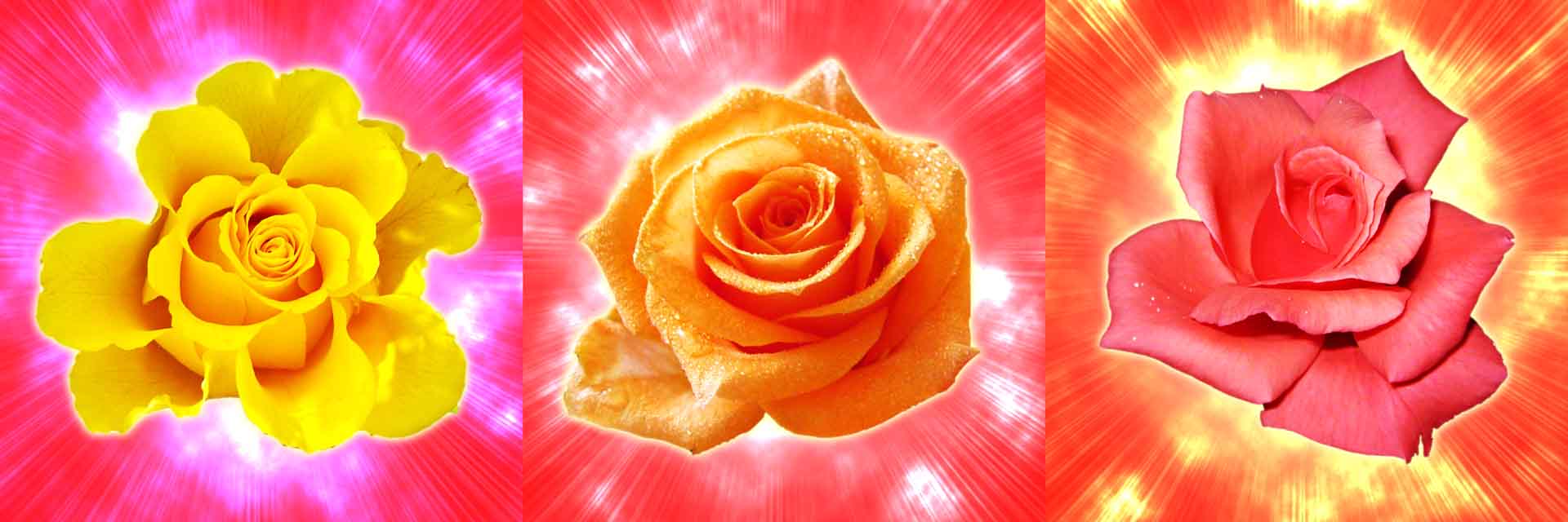 VIPcorel.com_11758a.jpg