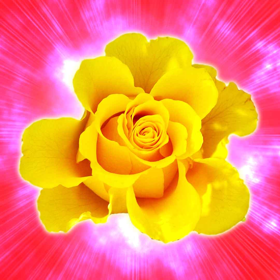 VIPcorel.com_11758b.jpg