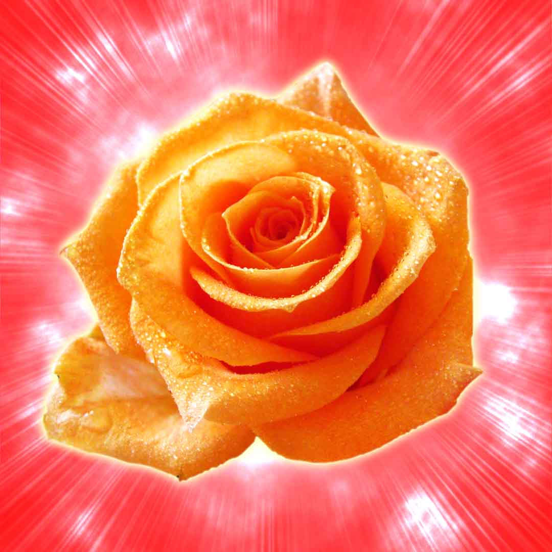 VIPcorel.com_11758c.jpg