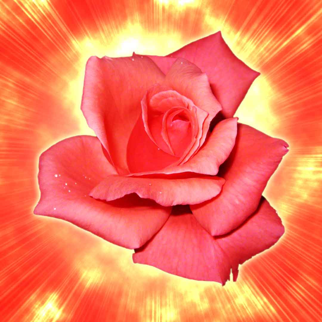 VIPcorel.com_11758e.jpg