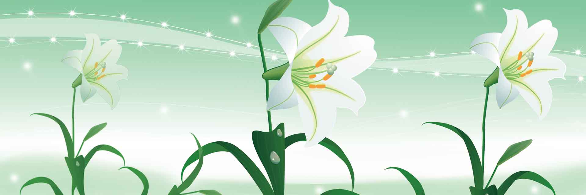 VIPcorel.com_11759a.jpg