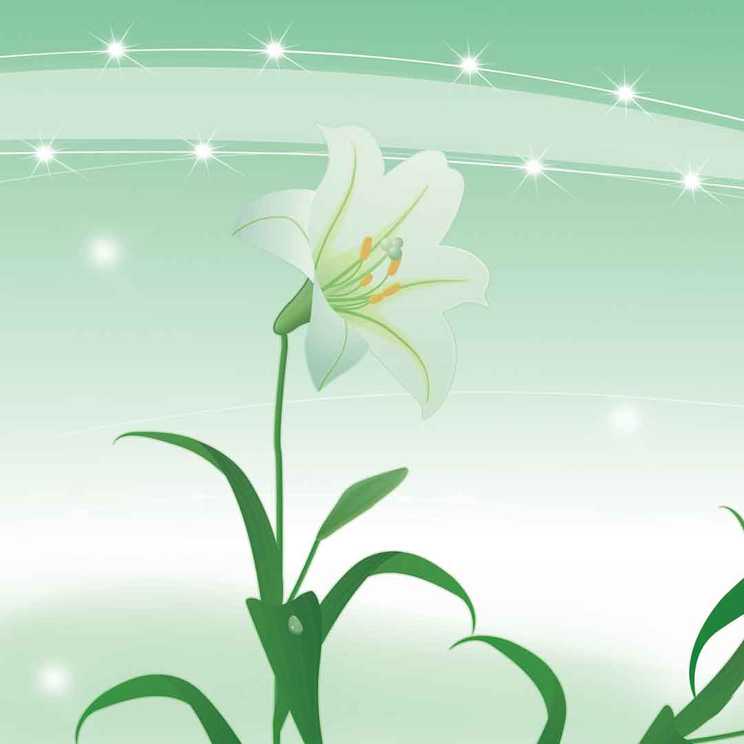 VIPcorel.com_11759b.jpg