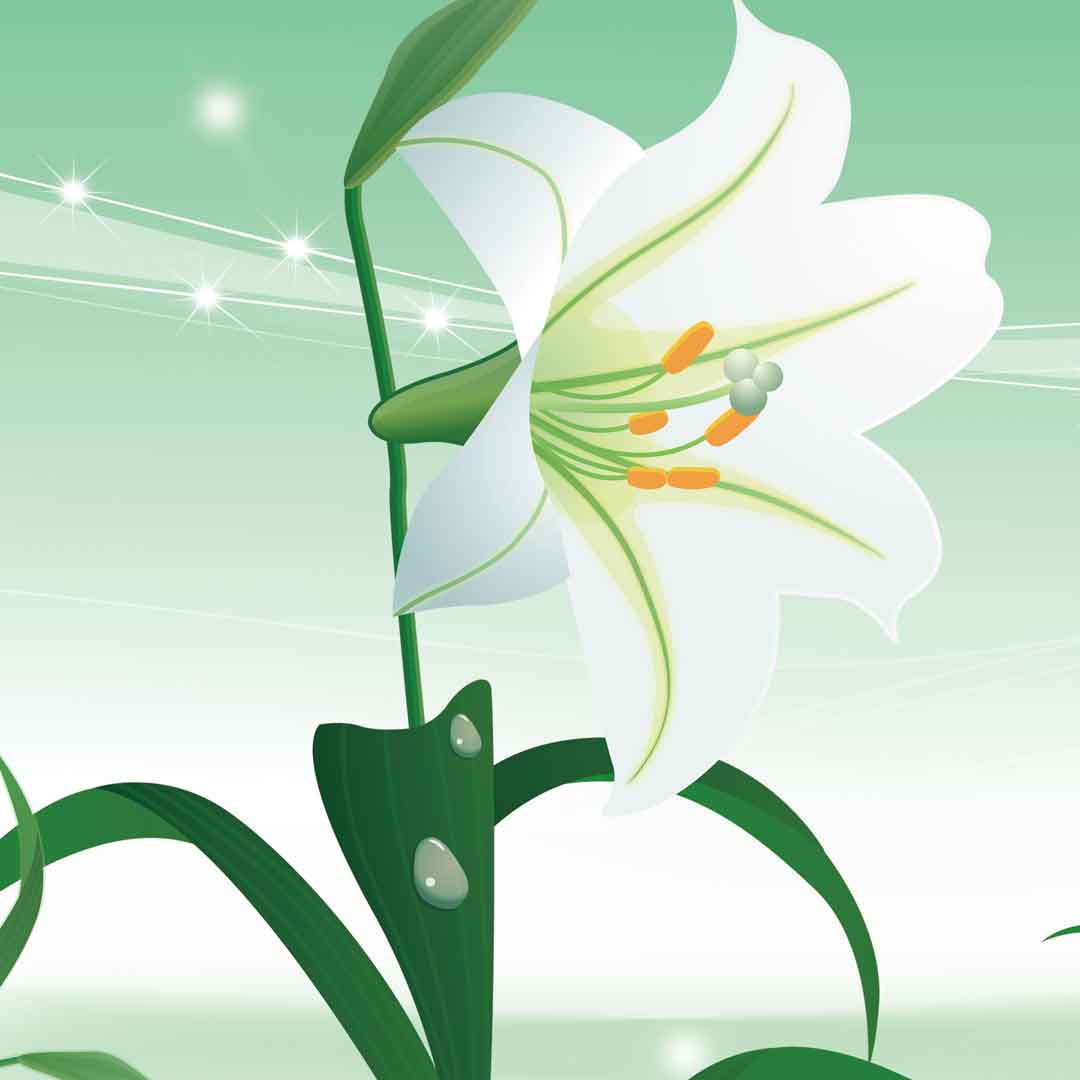 VIPcorel.com_11759c.jpg