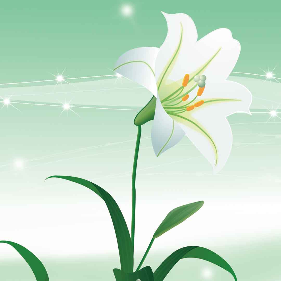 VIPcorel.com_11759d.jpg