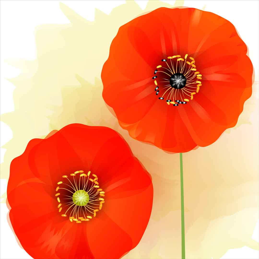 VIPcorel.com_11761a.jpg