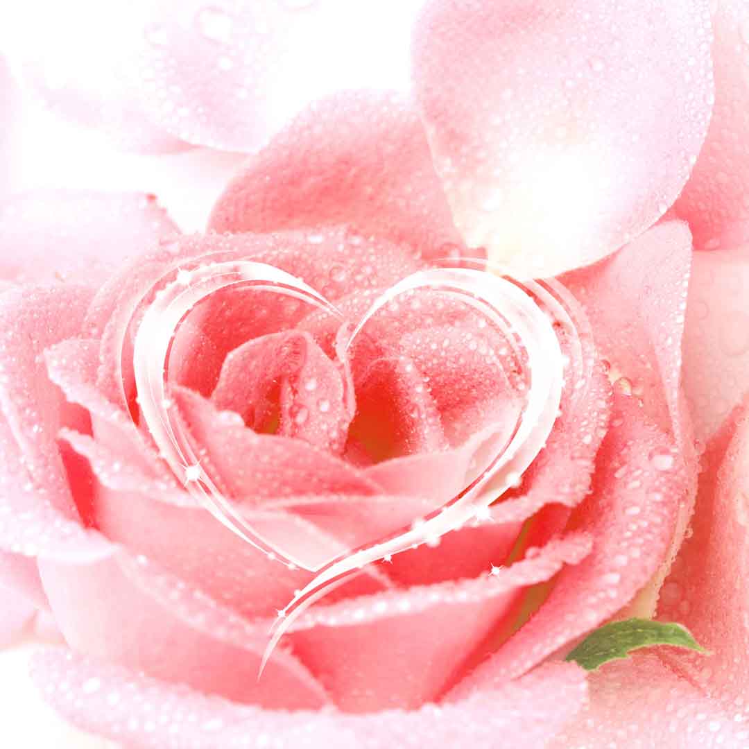 VIPcorel.com_11762a.jpg