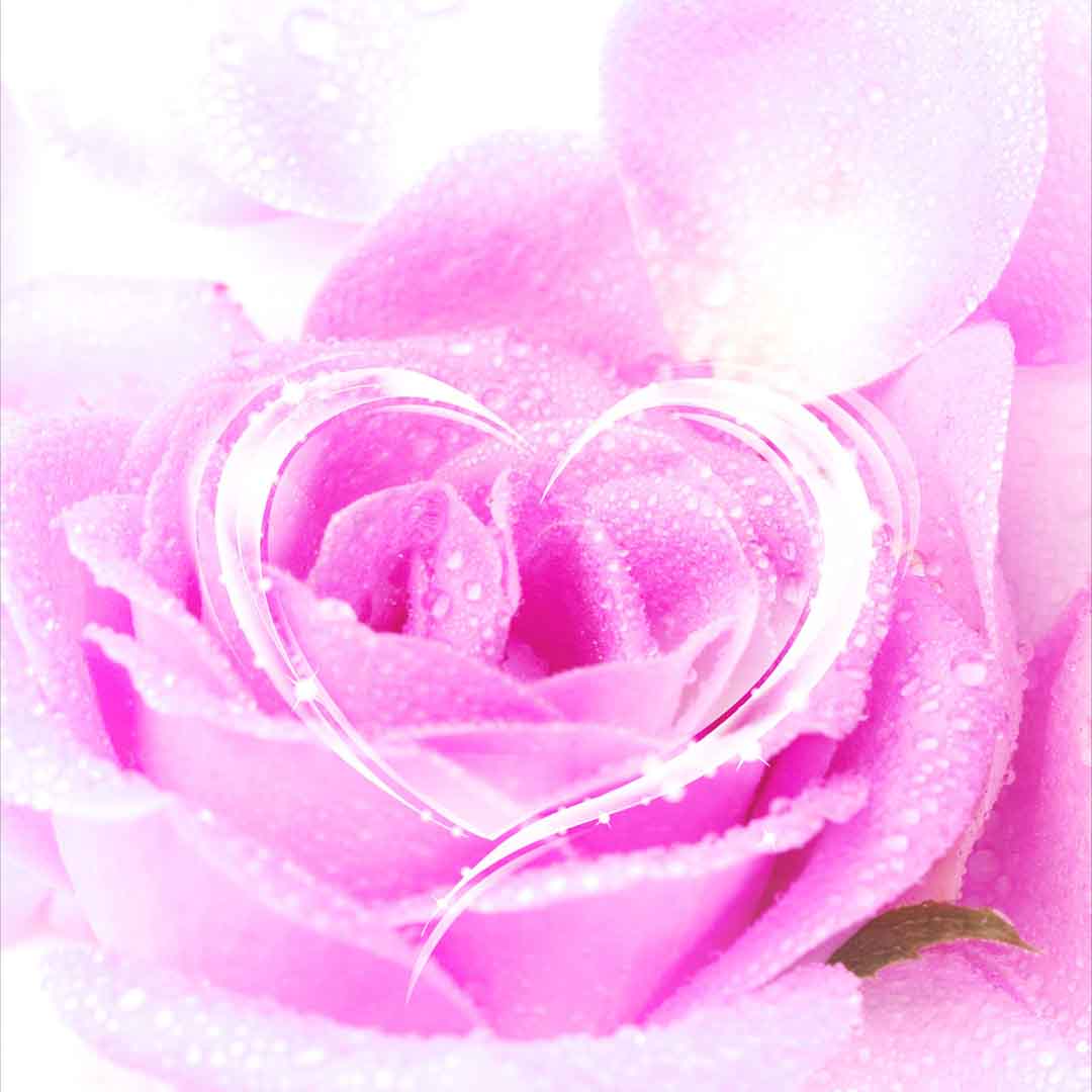 VIPcorel.com_11762b.jpg