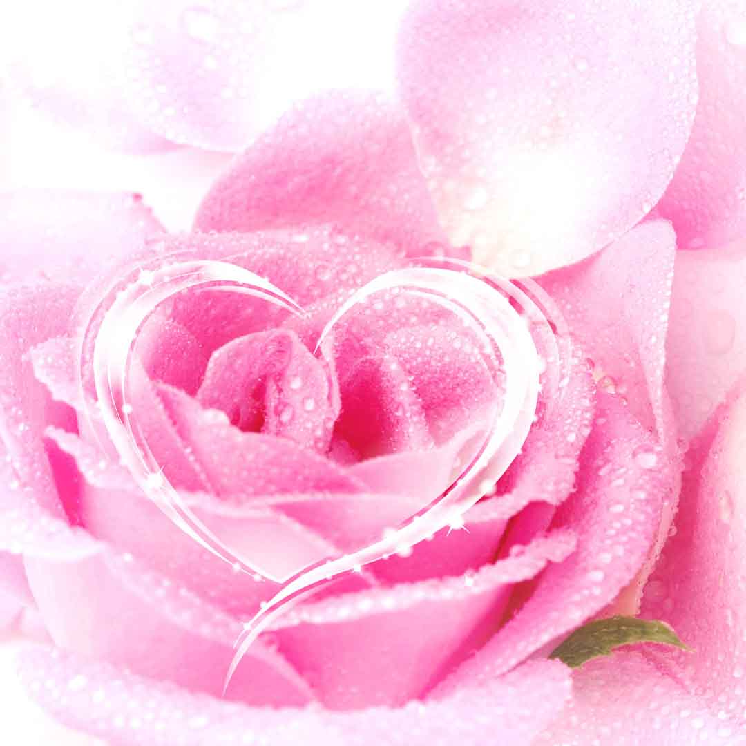 VIPcorel.com_11762c.jpg