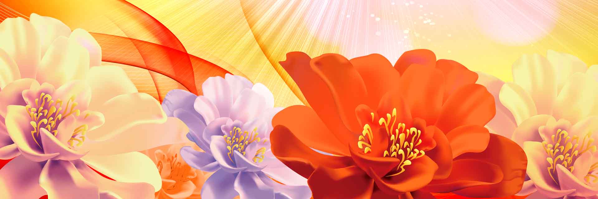 VIPcorel.com_11763a.jpg