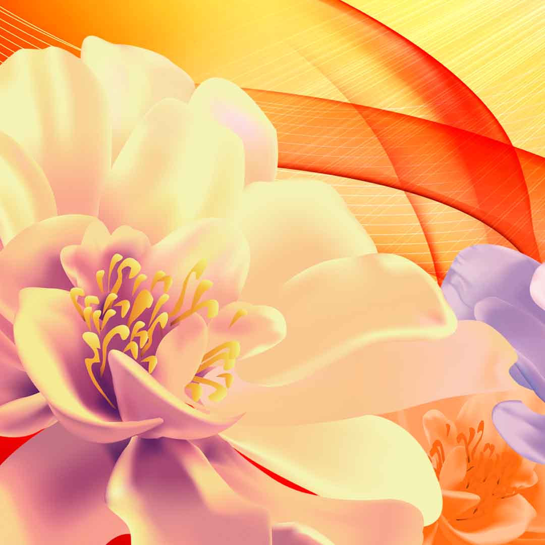 VIPcorel.com_11763b.jpg