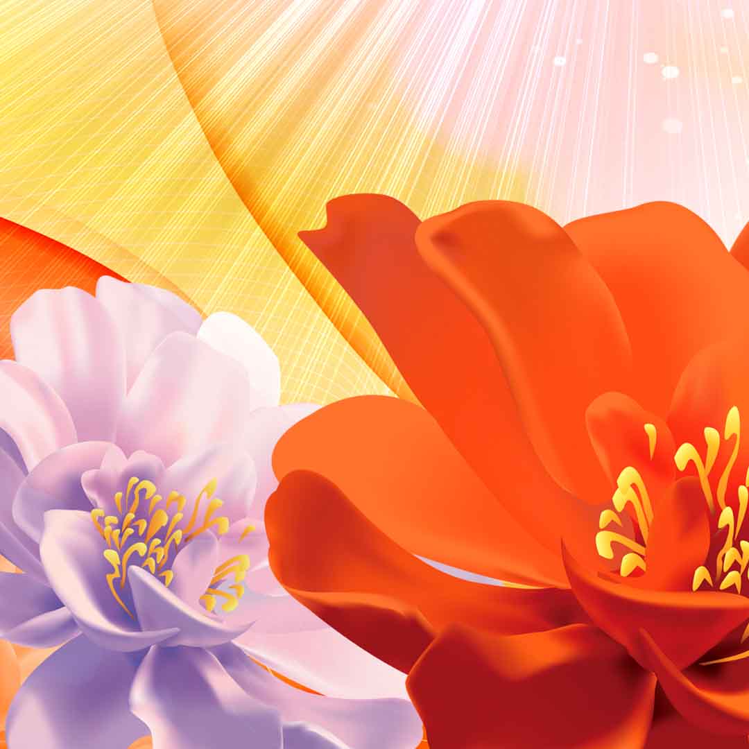 VIPcorel.com_11763c.jpg