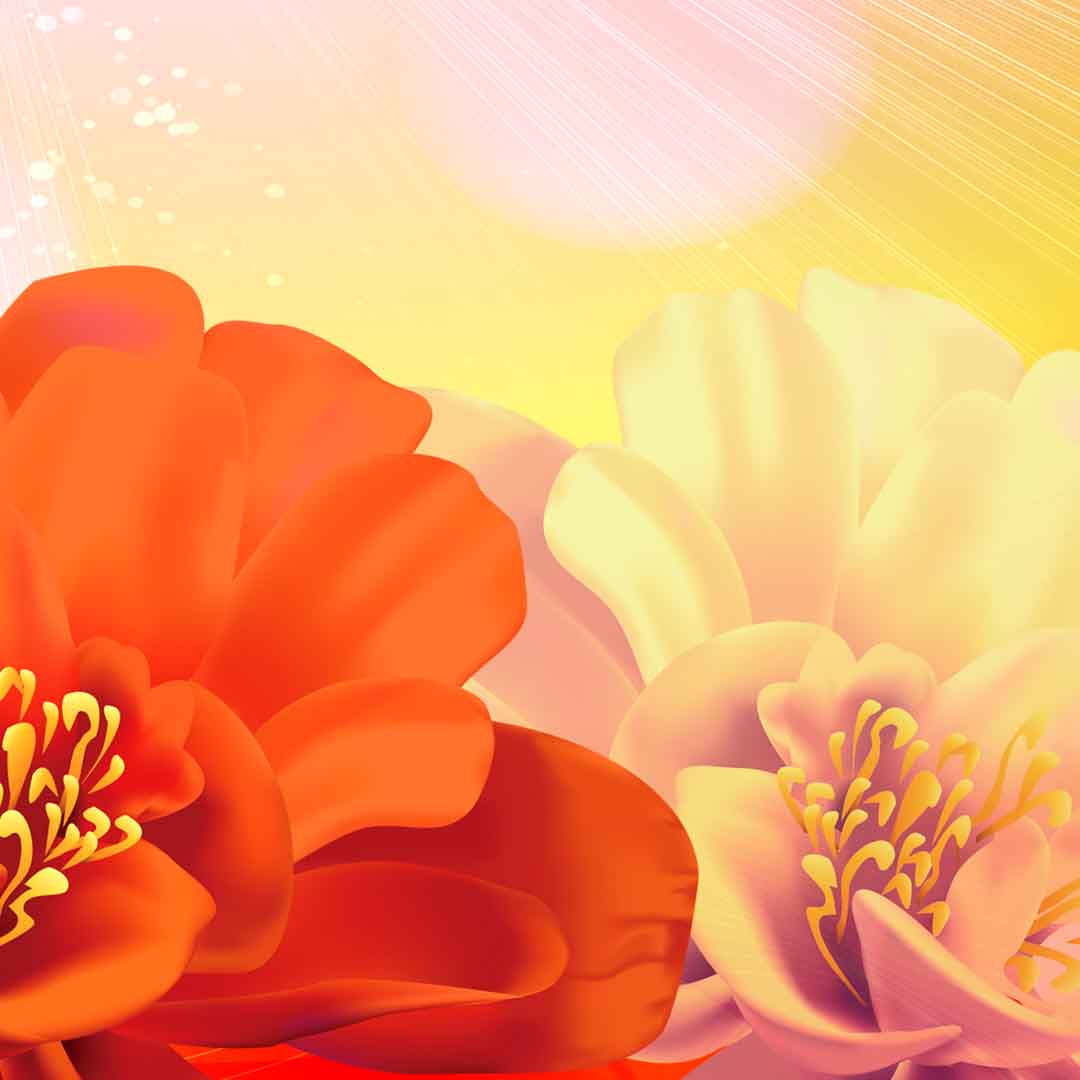 VIPcorel.com_11763d.jpg