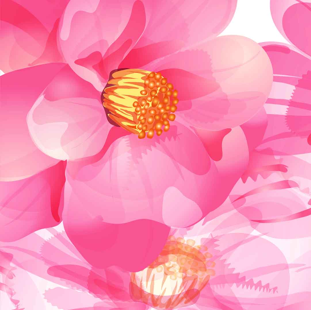 VIPcorel.com_11764a.jpg