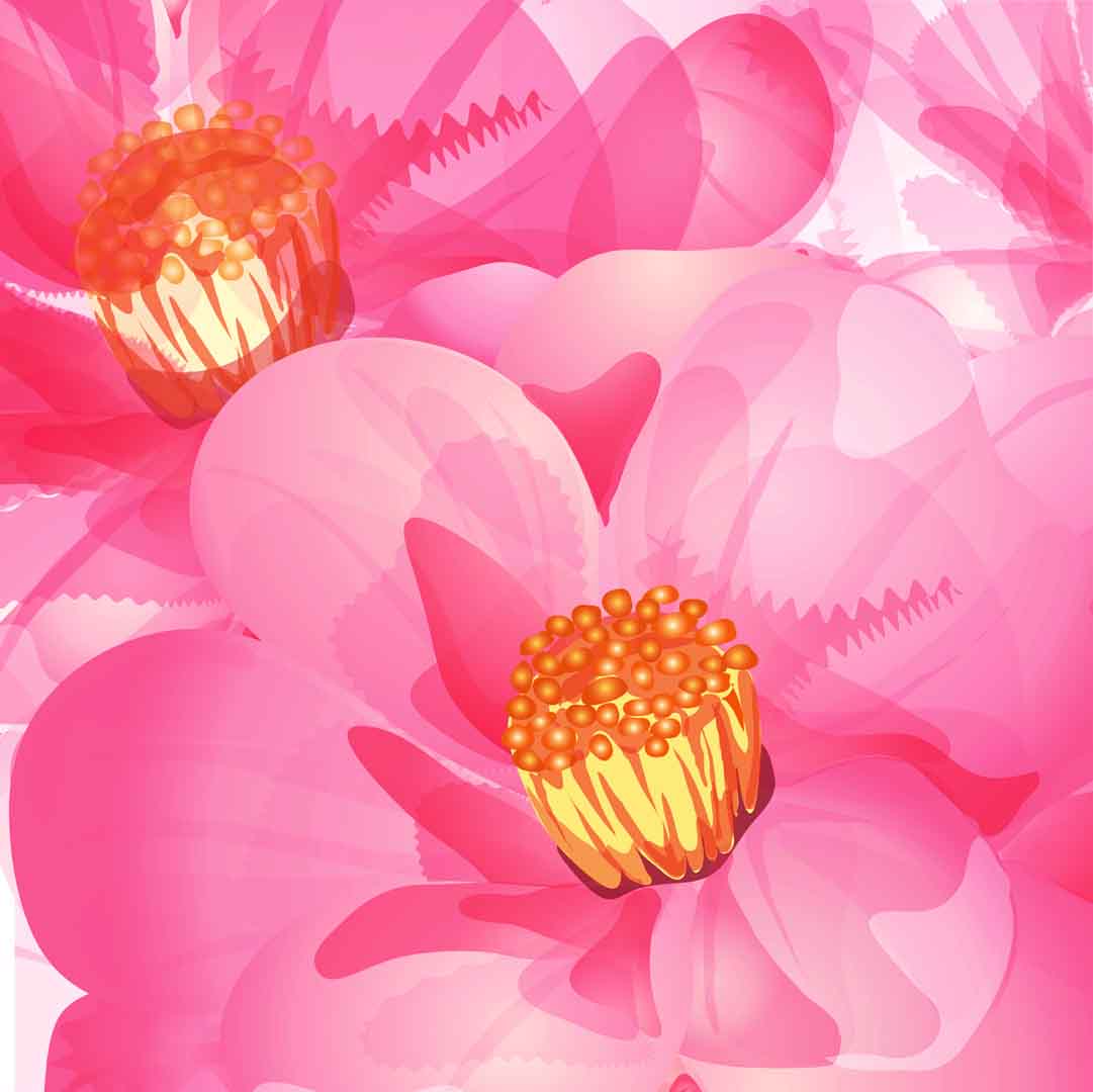VIPcorel.com_11764b.jpg