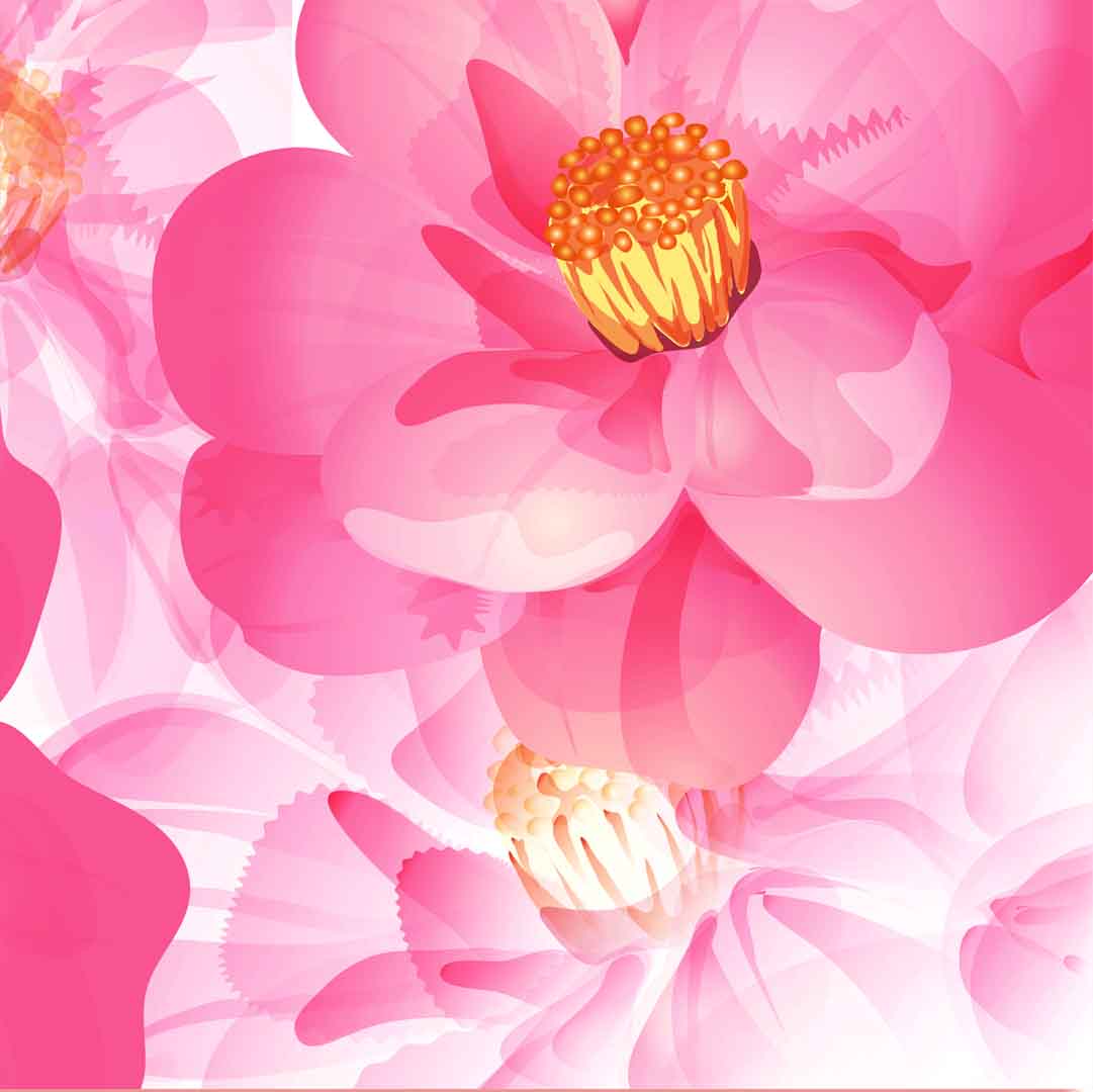 VIPcorel.com_11764c.jpg