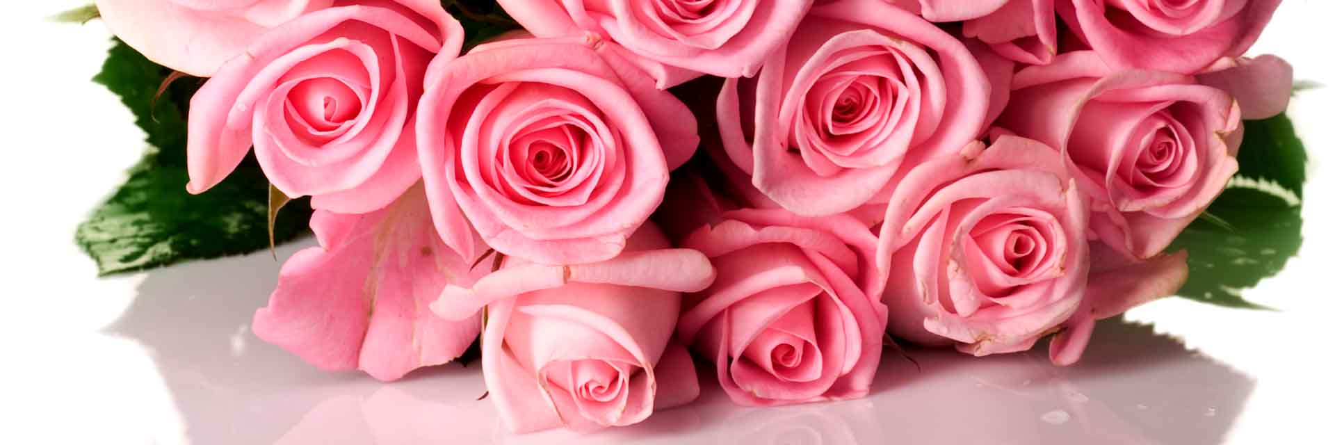 VIPcorel.com_11767a.jpg