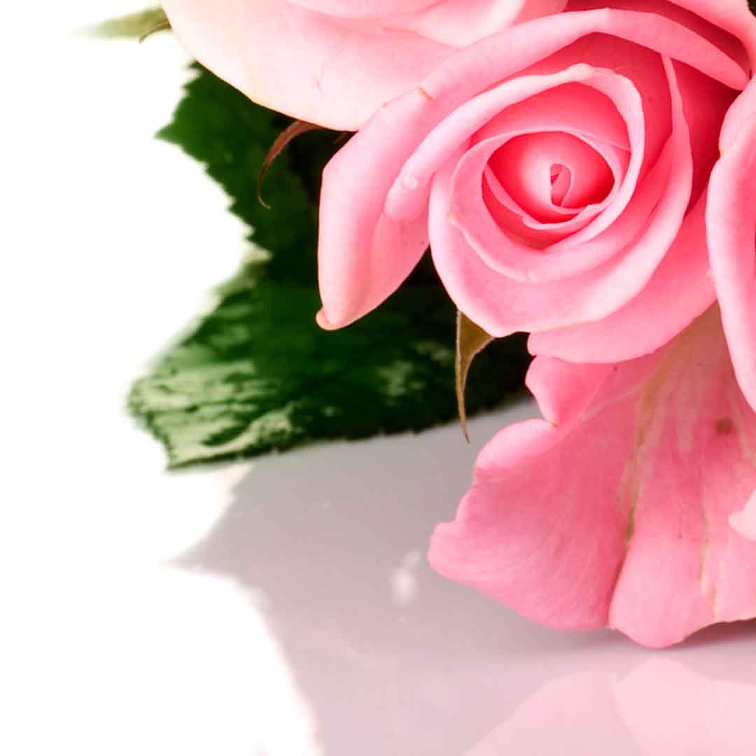 VIPcorel.com_11767b.jpg