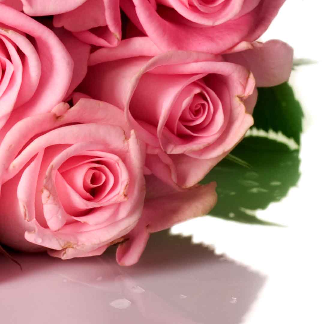 VIPcorel.com_11767d.jpg