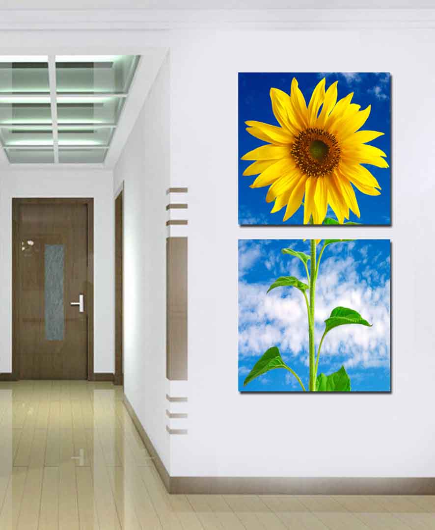 VIPcorel.com_11768.jpg