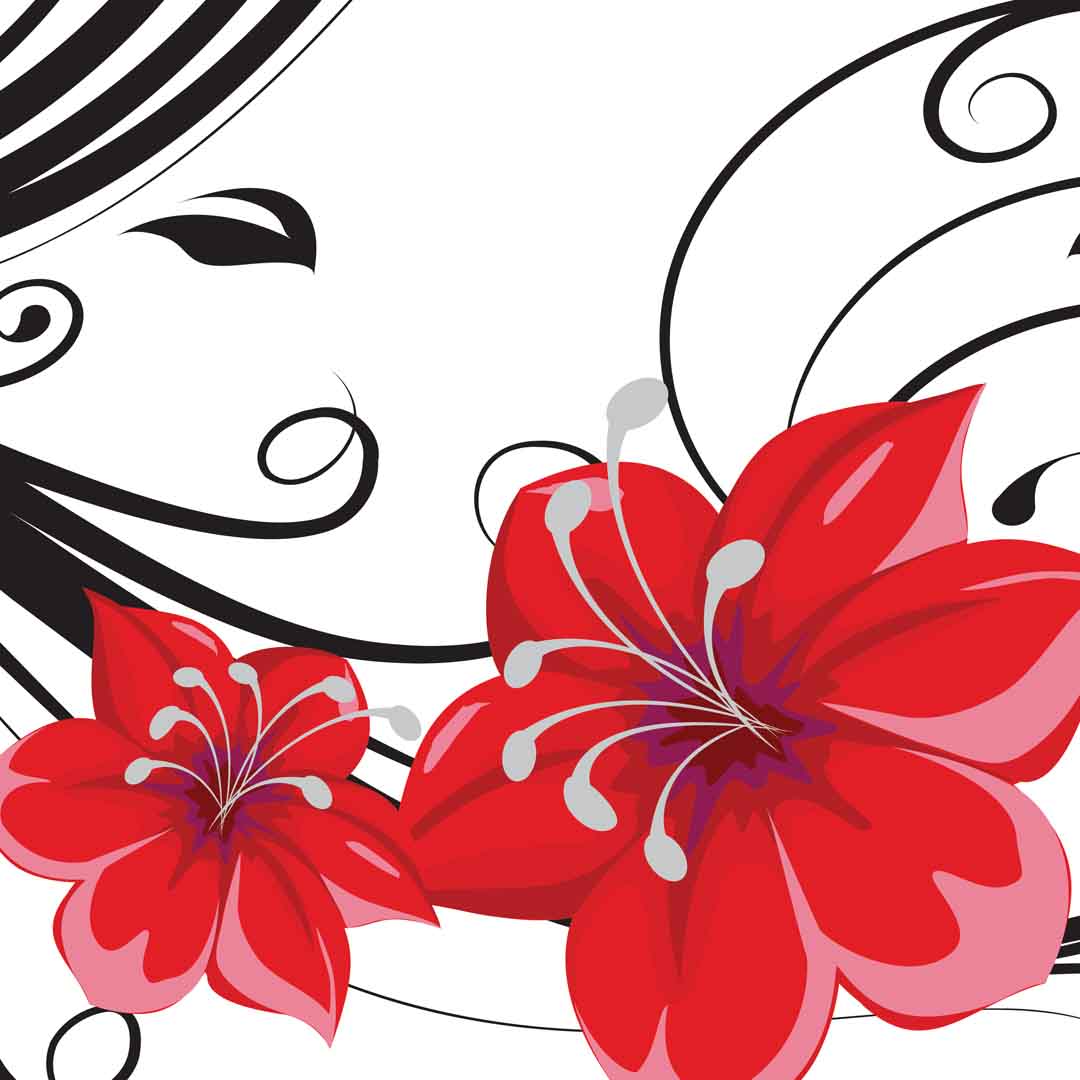VIPcorel.com_11770c.jpg