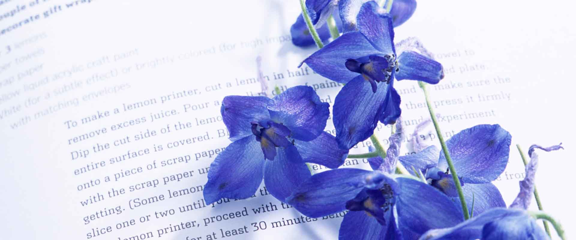 VIPcorel.com_11772a.jpg