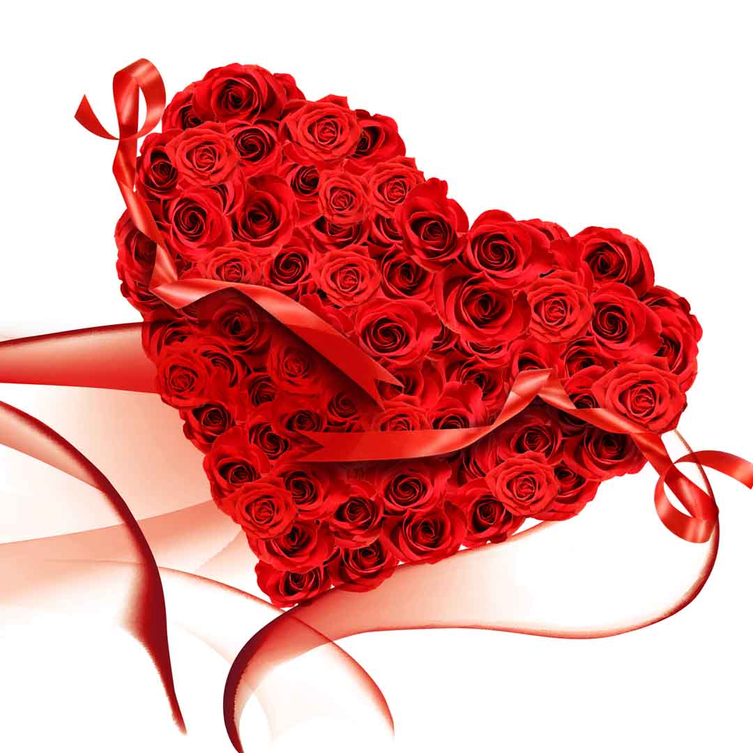 VIPcorel.com_11773d.jpg
