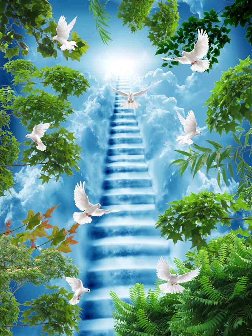 VIPcorel.com_12043.jpg